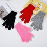 Adult Gloves Thickened Touchscreen Gloves
