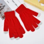 Adult Gloves Thickened Touchscreen Gloves