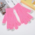 Adult Gloves Thickened Touchscreen Gloves
