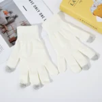 Adult Gloves Thickened Touchscreen Gloves